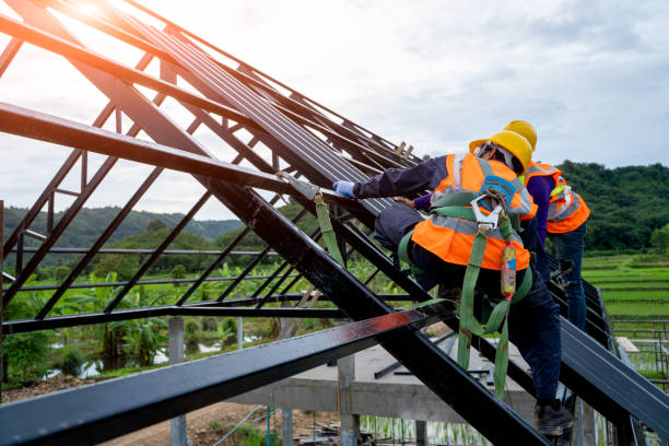 Best Affordable Roof Replacement  in Daleville, VA