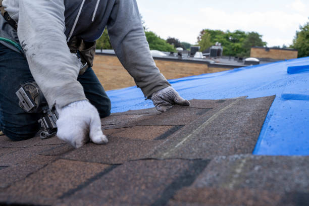 Best Roof Replacement Cost  in Daleville, VA