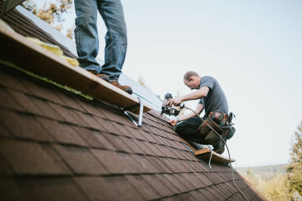 Best Gutter Installation and Roofing  in Daleville, VA
