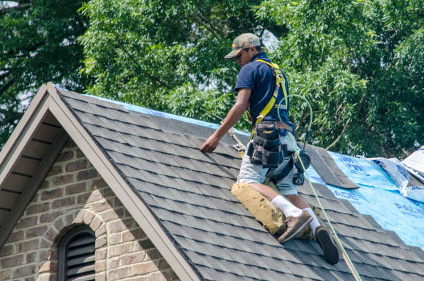 Best Emergency Roof Repair  in Daleville, VA